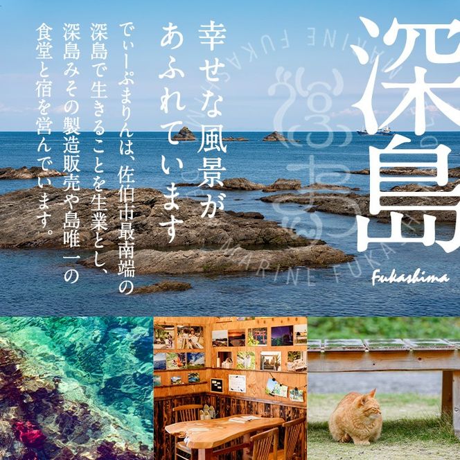 深島みそ＆みそ漬けセット (深島みそ・280g×1、みそ漬け・3種×各2袋) 味噌 みそ 味噌汁 麹 調味料 手作り 大分県 佐伯市【EK07】【でぃーぷまりん】