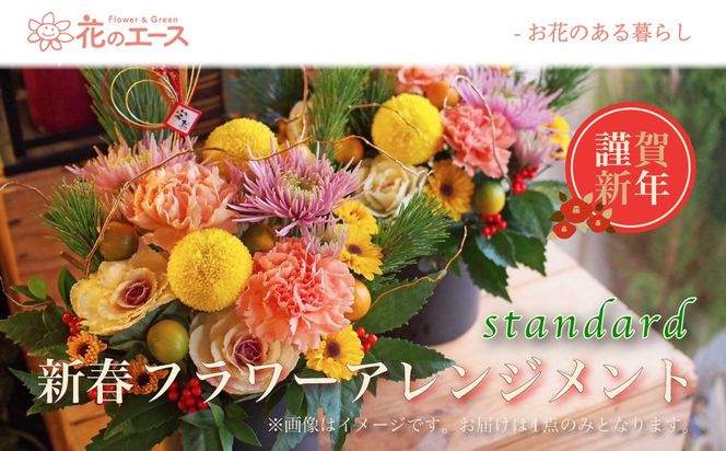 y茧ԊszyzG߂̂ԂŐVtt[AWgiX^_[hj y2026z