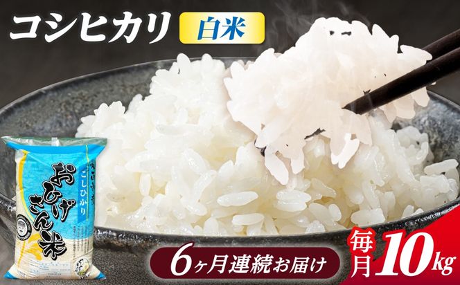 【6回定期便】コシヒカリ 白米 10kg×6か月 / 脇野コンバイン[AECP028]