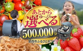 【あとから選べる】 愛知県愛西市ふるさとギフト 50万円分 日本酒 スイーツ シャンプー あとから ギフト[AECY013]