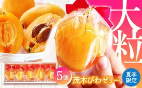 【2026年5月上旬〜発送】【夏季限定】茂木びわ ゼリー 5個入 / びわ ビワ ゼリー フルーツ 果物 ギフト 贈答 お中元 / 南島原市 / 本田屋かすてら本舗 [SAW039]