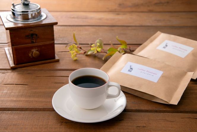 コーヒー豆 100g 2種 (豆のまま) 飲み比べセット [自家焙煎珈琲ぴちかーと 福岡県 筑紫野市 21761244] コーヒー 珈琲 coffee セット ストレートコーヒー