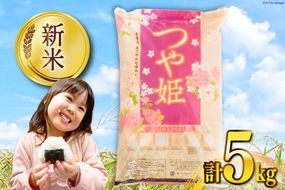 米 宮城県産 つや姫 5kg [気仙沼米穀商業協同組合 宮城県 気仙沼市 20565767] 一等米 ブランド米 白米 精米 ご飯 ごはん コメ こめ 小分け 家庭用