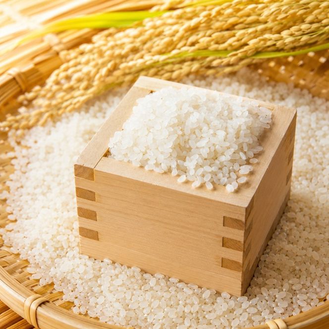 米 5kg ひのひかり 注文精米 朝倉産 こめ お米 ヒノヒカリ 