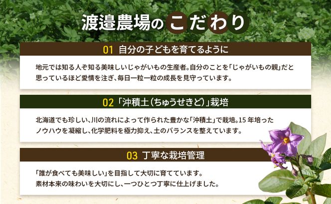 十勝 幕別町産 カラフルポテト8kg 2種(シャドークイーン4kg・ノーザンルビー4kg) 渡邉農場 [2026年11月出荷開始]【 野菜 いも イモ 芋 じゃがいも ジャガイモ 北海道 十勝 幕別 】