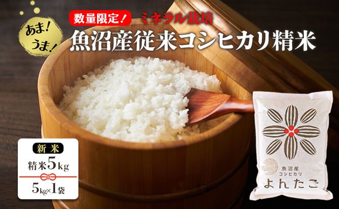 【数量限定！】あま！うま！ミネラル栽培の魚沼産従来コシヒカリ精米5kg (5kg×1袋)