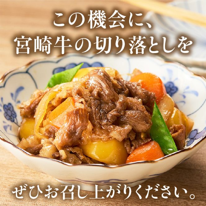 【訳あり】A4等級以上 宮崎牛切り落とし 500g×2P 計1kg（内閣総理大臣賞 A4 A5 宮崎牛 牛肉 黒毛和牛 赤身 切り落とし 小間切れ 宮崎県）