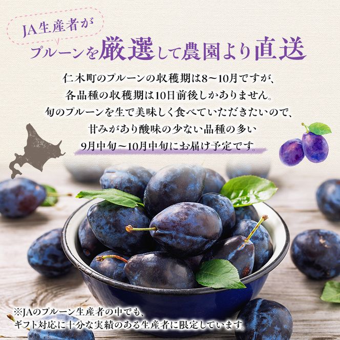 [先行受付] 北海道 仁木町産 季節のプルーン 1.6kg（400g×4パック）プルーン 果物 果物類 くだもの フルーツ [JA新おたる]