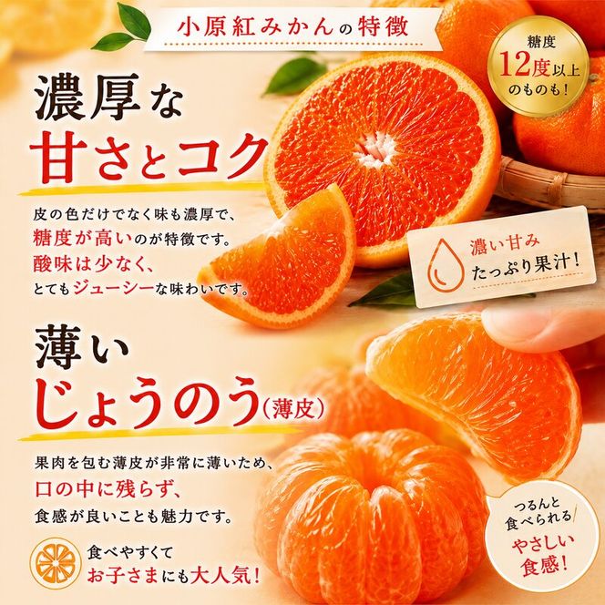 東かがわ市のちょこっと食卓応援品「小原紅みかん 2kg」