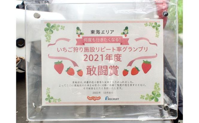 ストロベリーノ下田いちご狩り券1名様（スタンダードプラン） 体験チケット チケット 