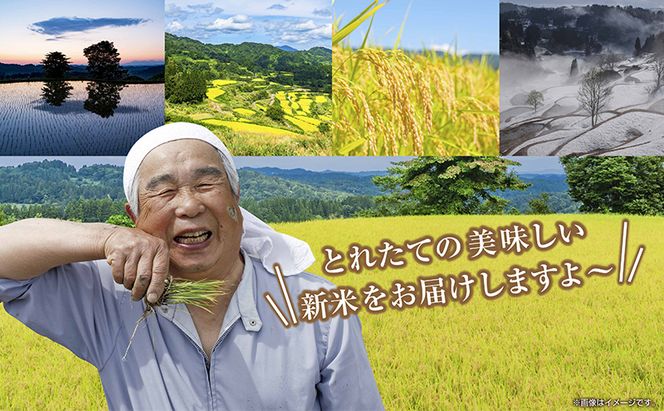 【令和8年産 新米】 無地のし 無洗米 新潟県 魚沼産 コシヒカリ お米 6kg  (2kg×3袋) 精米済み お米 こめ 白米  こしひかり 送料無料 魚沼 十日町
