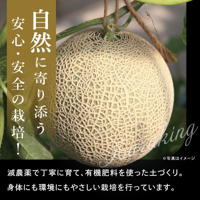 完熟 メロン イバラキング 2玉 │ 3kg フルーツ 産地直送 高級 贈答用 （CK002）