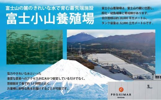 B57【日本初：完全陸上養殖】小山町産アトランティックサーモン（冷凍）ポキ丼（70g×4パック）塩麴たれ
