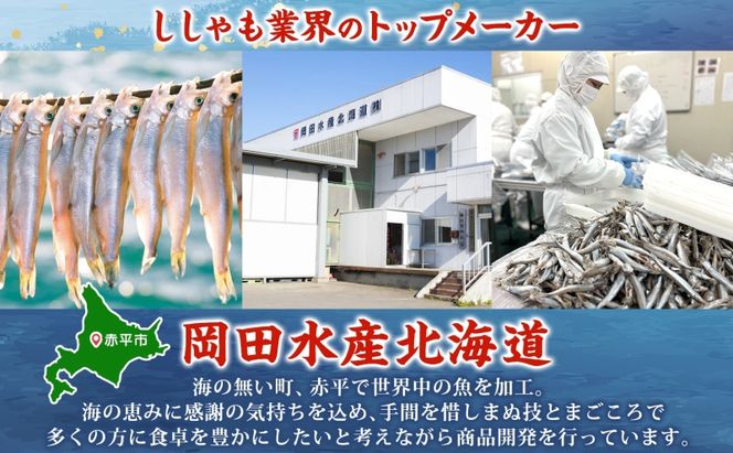 北海道産ししゃもメス大大30尾 北海道 稀少 魚シシャモ メス おつまみ 魚貝類 干物 本物 人気 希少 塩 味付け 脂のり 旨み 美味しい 大きい 