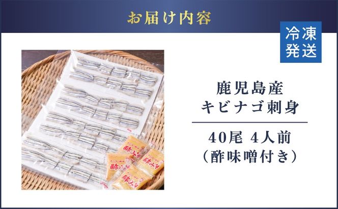 鹿児島産 キビナゴ刺身 40尾 4人前　K100-010