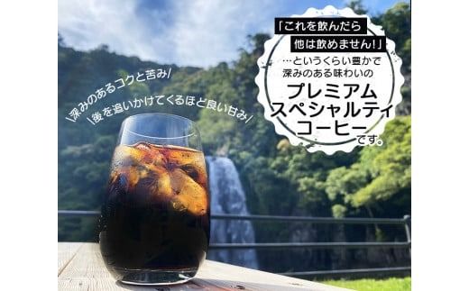 リキッドアイスコーヒー 『紀之宝珈琲』 1L×12本 加藤珈琲店コラボ / 珈琲 COFFEE コーヒー アイスコーヒー 自家焙煎 焙煎 オリジナル ブレンド ギフト 無添加 無糖 無香料【knkc200】