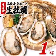 訳あり 生食 殻付き 牡蠣 1kg かき カキ 冷凍 岩手県産 殻付き 生食 訳あり わけあり 大きさ不揃い 不揃い 三陸 三陸産 株式会社國洋 岩手県 大船渡市 [koku021] 