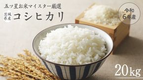 《 令和6年産 》 茨城県産 コシヒカリ 20kg ( 5kg × 4袋 ) 期間限定 こしひかり 米 コメ こめ 五ツ星 高品質 白米 精米 時短 単一米 [AC041us]