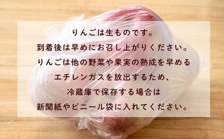 【先行予約丨2026年9月上旬より順次発送】サンつがる【約2.5kg(6〜12玉)】(At-003)丨長野県 飯山市 おすすめ ランキング おいしい 高評価 大人気 先取り 産地直送 りんご