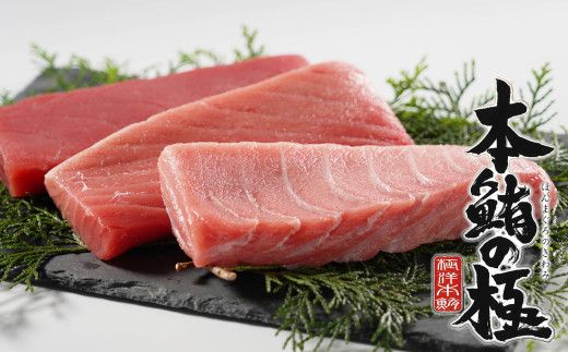 養殖生本鮪大トロ・中トロ・赤身セット（約1ｋｇ） 発送期間: 1月10日～12月20日