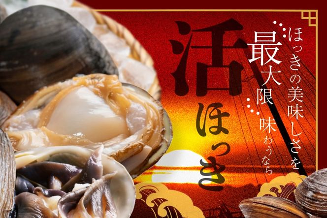 北海道 別海町産 活ホッキ 2.5kg【UY0000025】