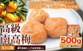 高級南高梅みかん梅 500g入 紀州塗箱 網代模様仕上 澤株式会社《90日以内に出荷予定(土日祝除く)》和歌山県 日高町 梅干し 梅 うめ ウメ 南高梅 みかん みかん梅 紀州南高梅 紀州塗 送料無料---wsh_swa3_90d_23_14000_500g---