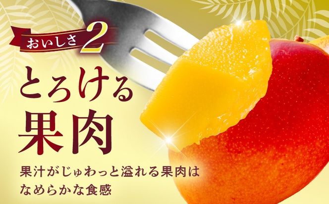 宮崎県産 完熟マンゴー 2玉 2L