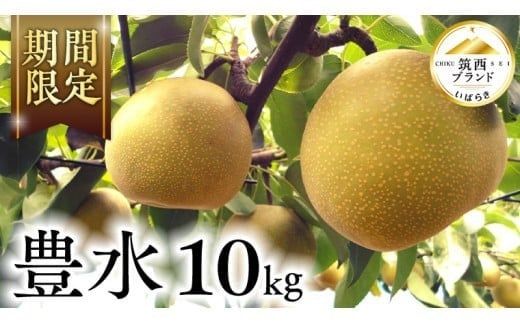 【 JA 北つくば 】 筑西ブランド 認証品 豊水 10kg 2026年産 先行予約 梨 果物 フルーツ なし ナシ 豊水梨 くだもの デザート 茨城 [AE011ci]