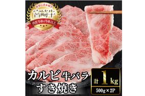 宮崎牛 カルビカット すき焼き (計1kg・500g×2) すき焼き お肉 牛肉 黒毛和牛 宮崎牛 ブランド和牛 冷凍 国産 宮崎県産 カルビ バラ 【YM-36】【YAMATO株式会社】
