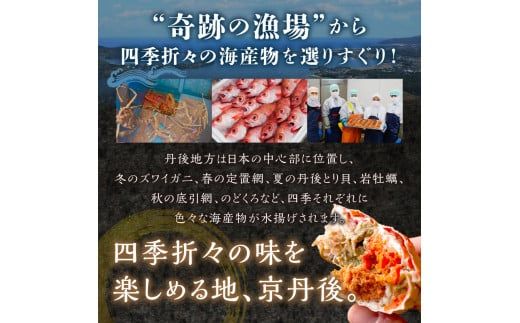 訳あり　【蟹の匠 魚政】茹で　プレミアムズワイガニ 魚政BLACK（松葉ガニ・越前ガニ） 特大サイズ（1200～1300g） 2匹セット　(11月～12月発送) UO01324