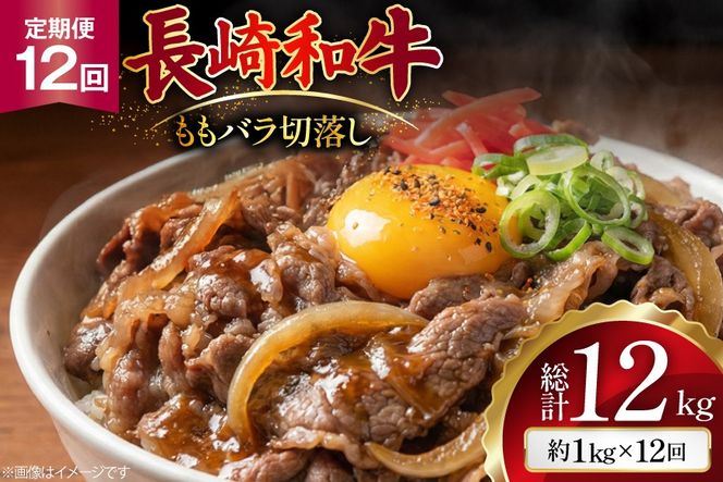 AJ579 【12回定期便】長崎和牛 切り落とし (もも・バラ) 約1kg (500g×2P) [ 肉 牛肉 和牛 高級 おいしい ステーキ肉 まるしん商会 黒牛 長崎県 島原市 ]