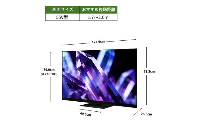 TVS REGZA【標準設置費込み】 Mini LED液晶テレビ REGZA レグザ Z8 55V型 4K対応 4Kチューナー内蔵 YouTube対応 Bluetooth対応 55Z890S 【kw0085-0088-3】