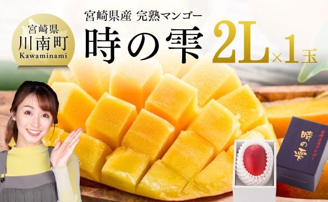 [令和7年発送]宮崎県産完熟マンゴー「時の雫」 2L×1玉[ 果物 フルーツ マンゴー 宮崎県産 九州産 完熟マンゴー みやざきマンゴー 先行予約 数量限定 期間限定 ]☆ [D08605]