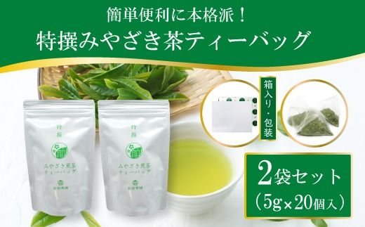 茶 特撰 みやざき 煎茶 ティーバッグ 5g×20個入 計2袋 [谷岩茶舗 宮崎県 日向市 452061008] お茶 日本茶 新茶 簡易包装 一番茶 新茶