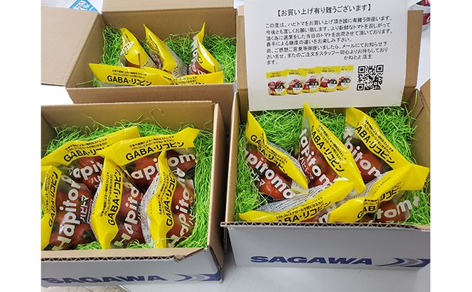 機能性表示食品 Hapitoma ハピトマ 糖度6（1kg）【配送不可：北海道・沖縄・離島】健康 ヘルシー GABA リコピン 人気 厳選 袋井市 野菜 トマト ミニトマト とまと 