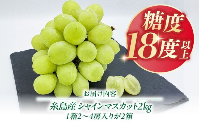 【先行受付】【糖度18度以上】 糸島産 シャインマスカット 2kg 【2026年8月中旬より順次発送】糸島市 / 和饗エコファーム フルーツ 果物[AVI007] シャインマスカット マスカット ぶどう ブドウ フルーツ 果物 甘い 高糖度