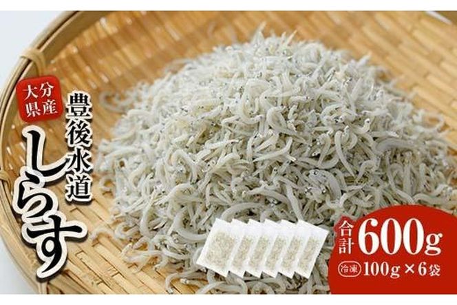 y啪szL㐅Y 炷 (v600gE100g×6) Ⓚ 炷 炷 Ԃ    ͂ u `[n pX^ T_ Y 啪 pbN  ֗ 啪 syCT09zy (L)Xz