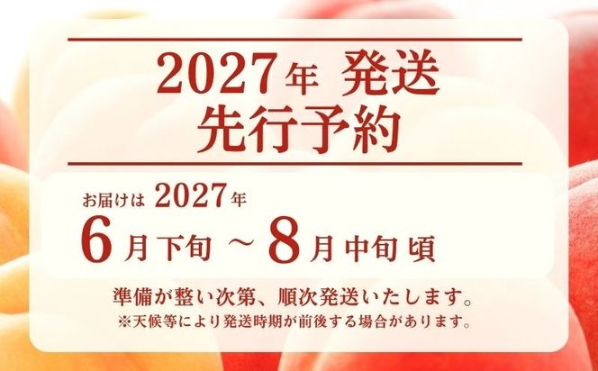 【2027年　先行予約】日本一の産地山梨県産　朝採れカターい桃 約２Kg（5～8玉） FB040