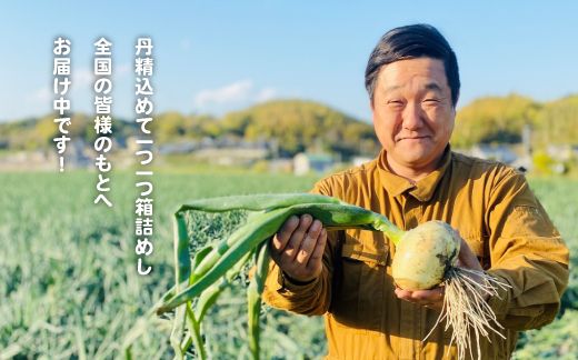 【新玉ねぎ】淡路島たまねぎ(5キロ)【発送時期：2026年5月頃】　玉ねぎ 産地直送