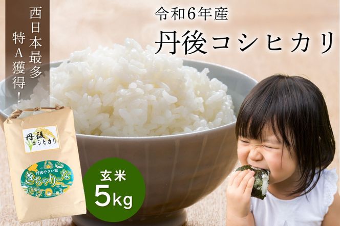 直売所直送「令和6年産　京丹後市産　コシヒカリ」　玄米5kg　JA00062