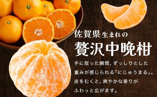 にじゅうまる 約5kg バラ入りお徳用 E-294-RN