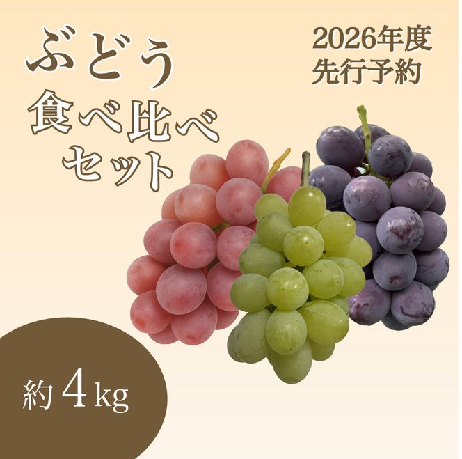 ym{szy2026Nx_s\zyƒpzԂǂHה׃Zbg 4kgk2026N8{菇l 232238_CR09-PR