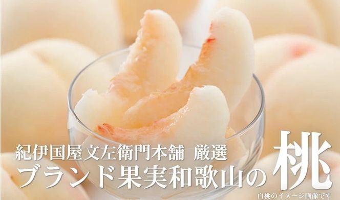 和歌山の桃 秀品 [約3.8～4kg] (サイズ・品種おまかせ) ※2026年6月中旬～2026年8月中旬頃に順次発送予定　紀伊国屋文左衛門本舗 和歌山 もも モモ 桃 果物 フルーツ 人気 産地直送 和歌山県 お取り寄せ【ntbt800B】