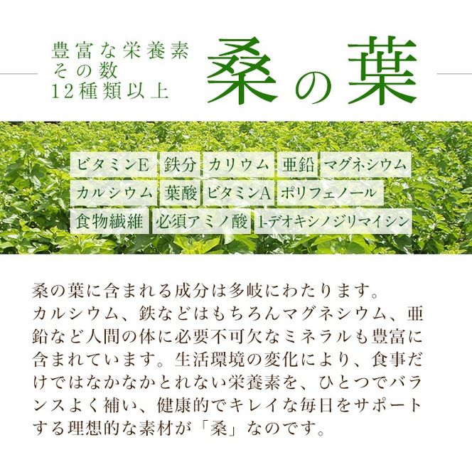 a932 さつま桑青汁314本セット【わくわく園】桑の葉 青汁 桑 青汁 粉末青汁 スティックタイプ 国産 高級品種 センシン