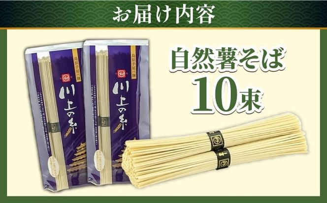 【年内発送】年越しそば 手延べ 自然薯 そば 500g（250g×2） / 蕎麦 麺 長崎 / 南島原市 / 川上製麺 [SCM021]