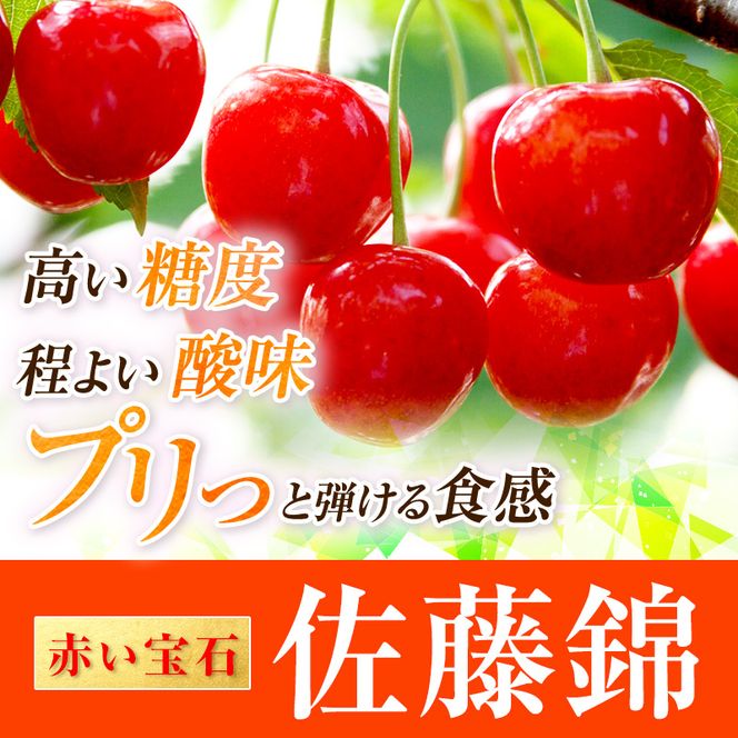 先行受付 北海道 仁木町産 さくらんぼ 佐藤錦 700g (350g×2) ML以上  旬の果物 サクランボ チェリー フルーツ 果物 果物類 仁木町 仁木 [伊賀農園]