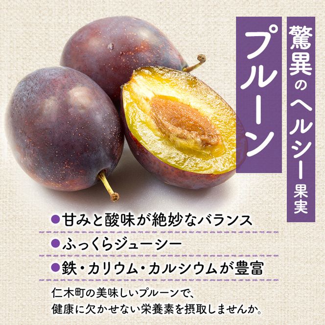 [先行受付] 8月お届け 北海道 仁木産 フレッシュ プルーン 約2kg （サイズ混合）品種 おまかせ 果物 くだもの フルーツ [峠のふもと　紅果園]