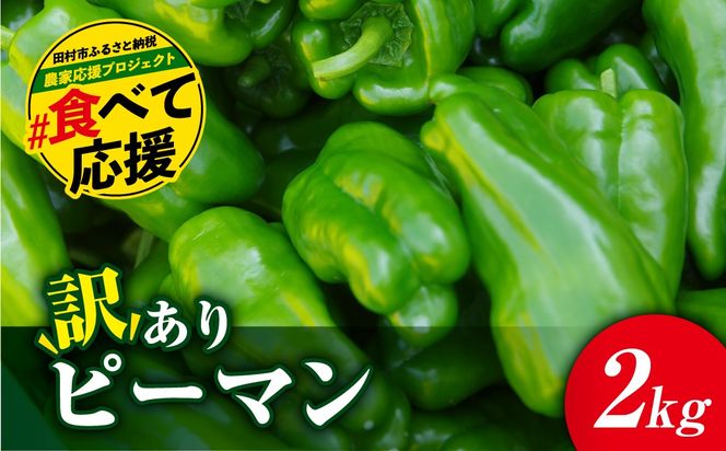 農家さん応援！ 【訳あり】 ピーマン 2kg 農家直送 野菜 新鮮 BBQ 焼肉 国産 おすすめ 送料無料 緊急支援品 生活応援 コロナ支援 福島県 田村市 新田ファーム N083-002