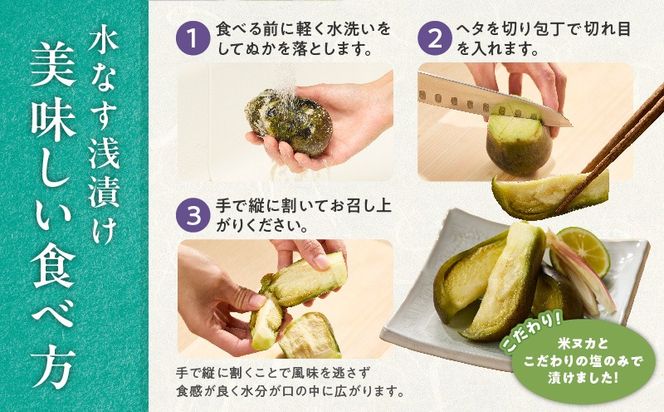 G5565 【先行予約】特選 無添加 水なす漬け 徳用水ナス セット【食べ比べ 新鮮 野菜 泉佐野産 茄子 やさい TONOファーム 高評価】