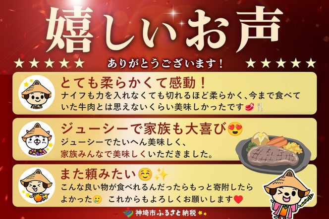 【スピード発送】佐賀牛 サーロインステーキ 200g×3枚【黒毛和牛 牛肉 最高級 冷凍 ギフト 贈答 丸宗ミート 神埼市】(H065218)